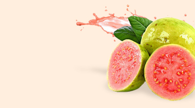 organic-banner2