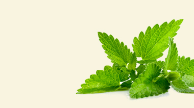 organic-banner3